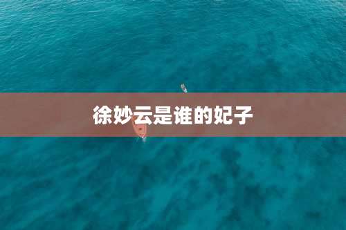 徐妙云是谁的妃子