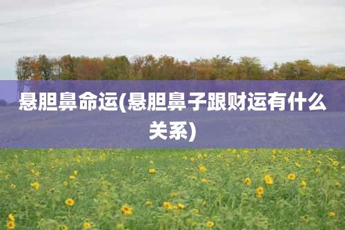 悬胆鼻命运(悬胆鼻子跟财运有什么关系)