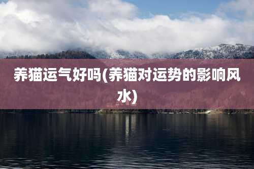 养猫运气好吗(养猫对运势的影响风水)