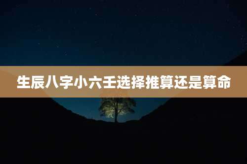 生辰八字小六壬选择推算还是算命