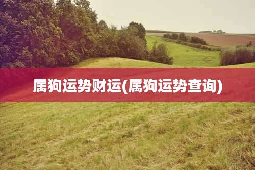 属狗运势财运(属狗运势查询)