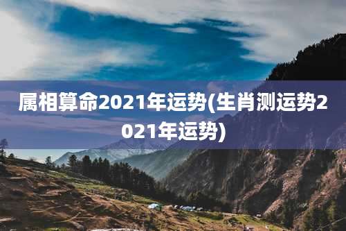 属相算命2021年运势(生肖测运势2021年运势)