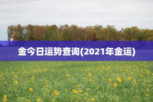 金今日运势查询(2021年金运)