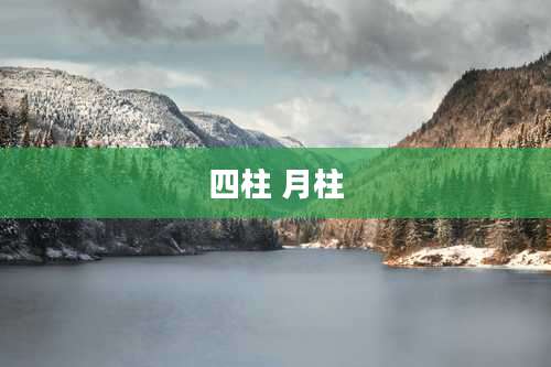 四柱 月柱