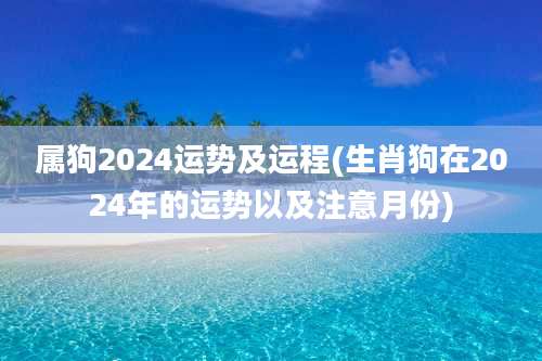 属狗2024运势及运程(生肖狗在2024年的运势以及注意月份)