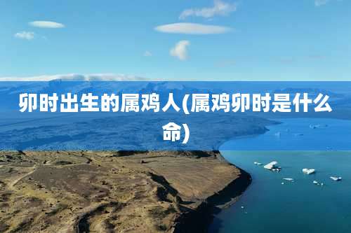 卯时出生的属鸡人(属鸡卯时是什么命)