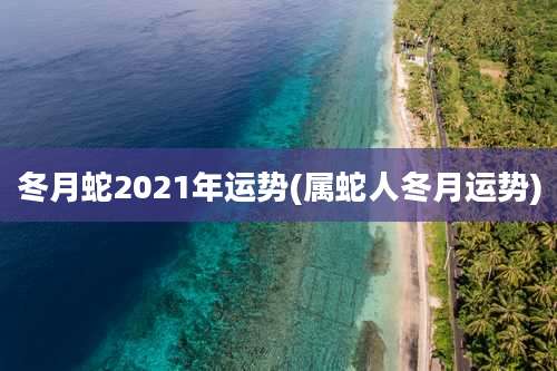 冬月蛇2021年运势(属蛇人冬月运势)