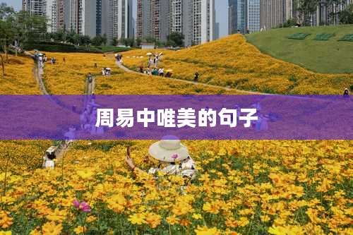 周易中唯美的句子