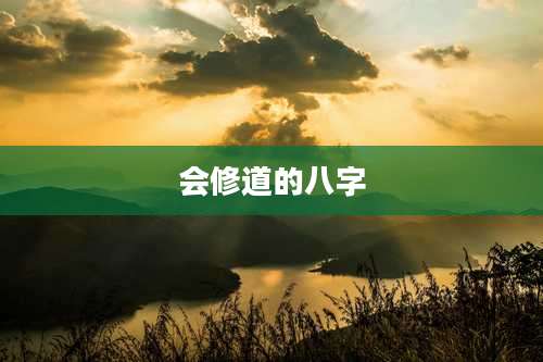 会修道的八字