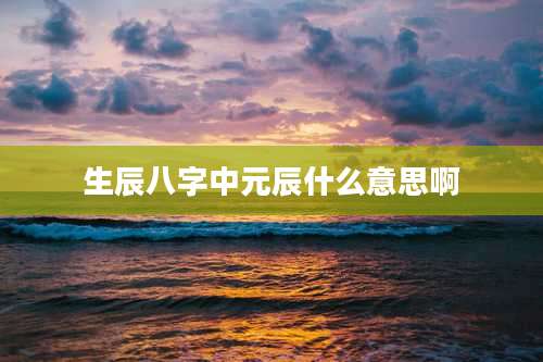 生辰八字中元辰什么意思啊