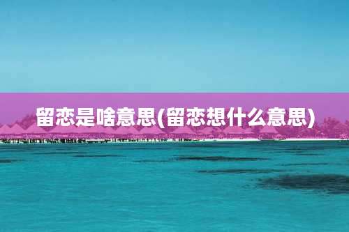 留恋是啥意思(留恋想什么意思)