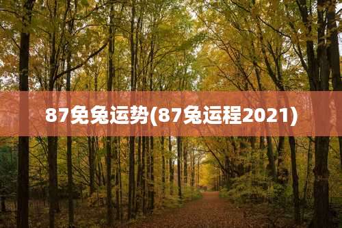 87免兔运势(87兔运程2021)