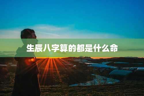 生辰八字算的都是什么命