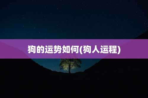 狗的运势如何(狗人运程)