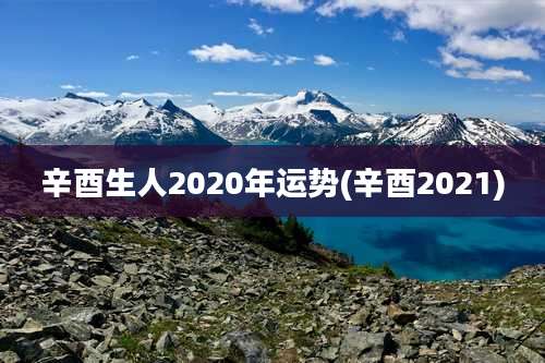 辛酉生人2020年运势(辛酉2021)