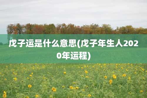 戊子运是什么意思(戊子年生人2020年运程)
