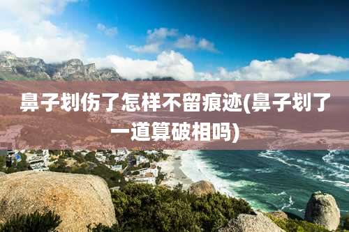 鼻子划伤了怎样不留痕迹(鼻子划了一道算破相吗)