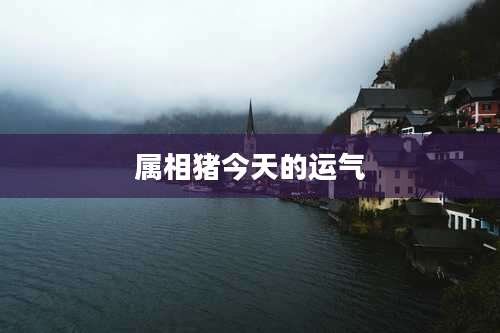 属相猪今天的运气