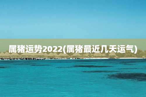 属猪运势2022(属猪最近几天运气)