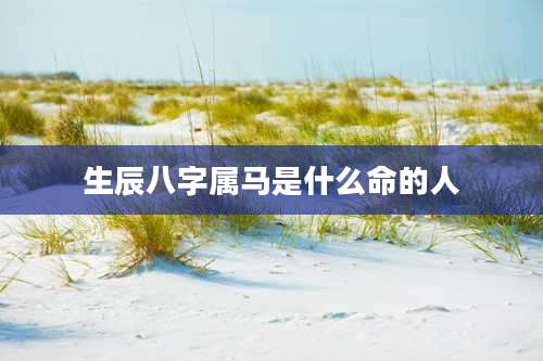 生辰八字属马是什么命的人