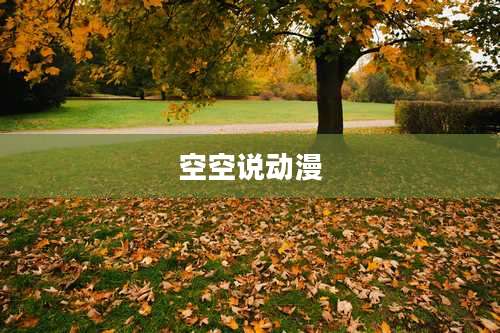 空空说动漫