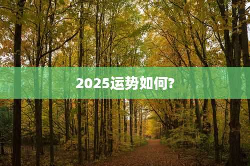 2025运势如何?