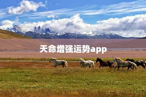 天命增强运势app