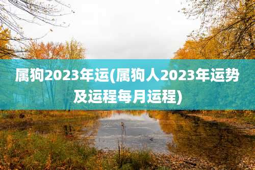 属狗2023年运(属狗人2023年运势及运程每月运程)