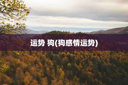 运势 狗(狗感情运势)