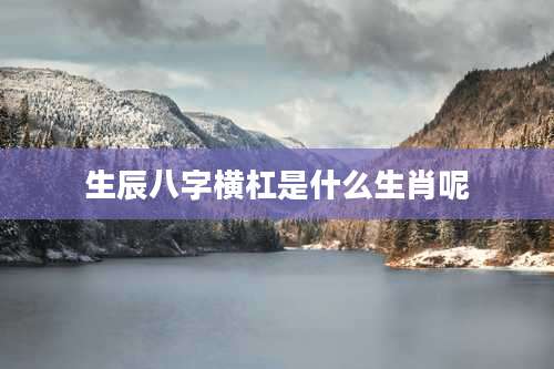 生辰八字横杠是什么生肖呢