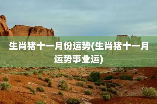 生肖猪十一月份运势(生肖猪十一月运势事业运)