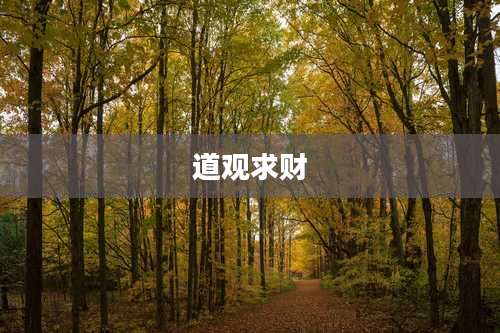 道观求财