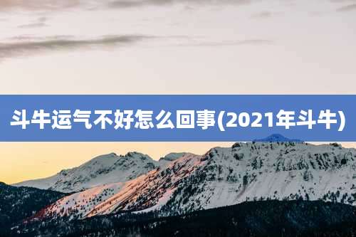 斗牛运气不好怎么回事(2021年斗牛)