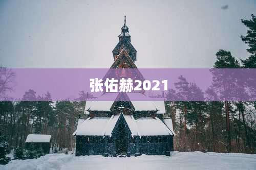 张佑赫2021