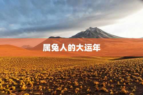 属兔人的大运年