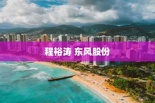 程裕涛 东风股份