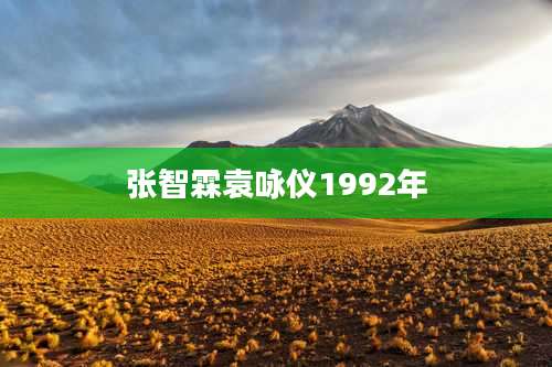 张智霖袁咏仪1992年