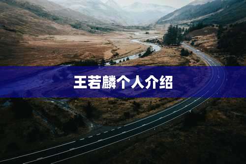 王若麟个人介绍