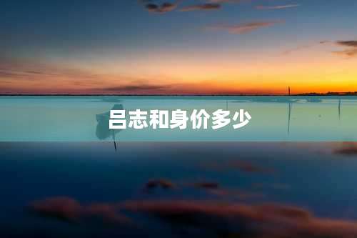 吕志和身价多少