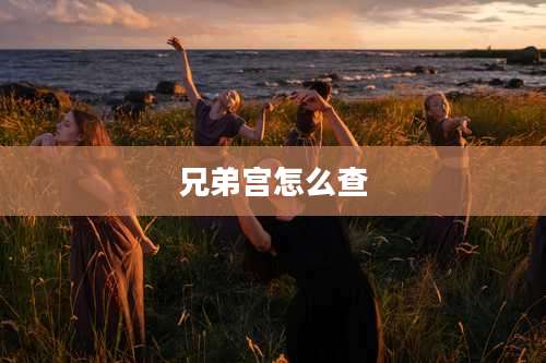 兄弟宫怎么查