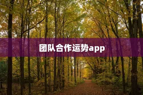 团队合作运势app