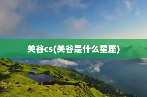 关谷cs(关谷是什么星座)