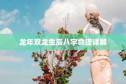 龙年双龙生辰八字命理详解