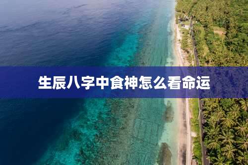生辰八字中食神怎么看命运
