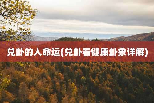 兑卦的人命运(兑卦看健康卦象详解)