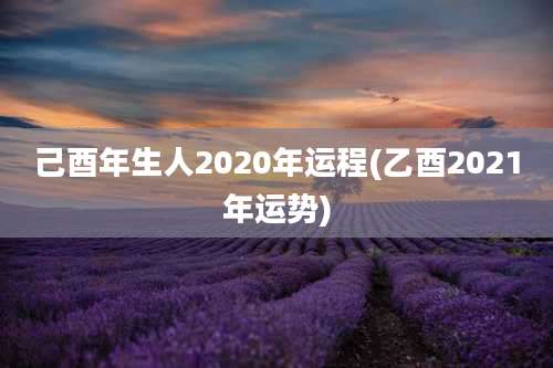 己酉年生人2020年运程(乙酉2021年运势)