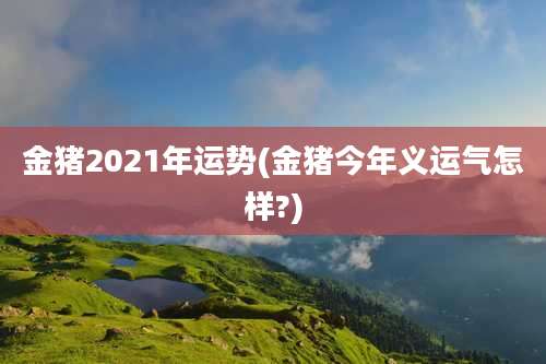 金猪2021年运势(金猪今年义运气怎样?)