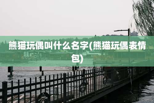 熊猫玩偶叫什么名字(熊猫玩偶表情包)