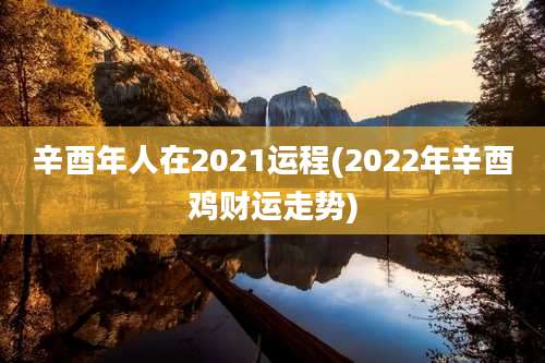 辛酉年人在2021运程(2022年辛酉鸡财运走势)