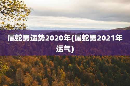 属蛇男运势2020年(属蛇男2021年运气)